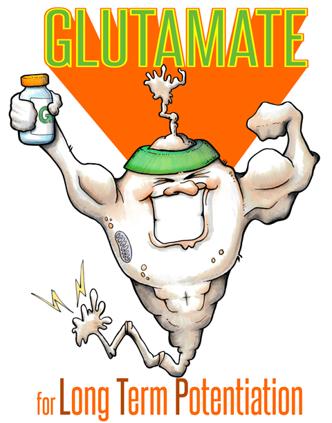 Neuron LTP with glutamate