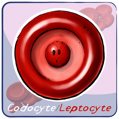 Codocyte