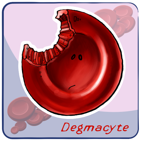 Degmacyte