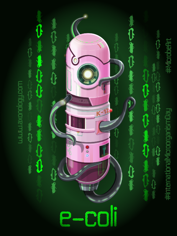 e-coli
