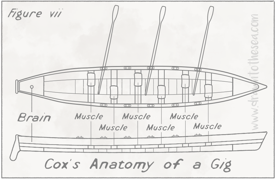 Cox's anatomy of a gig