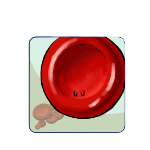 Macrocyte