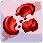 Schistocyte