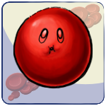 Spherocyte